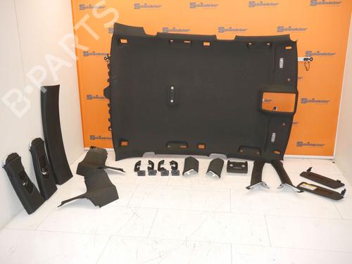 Used Interior roof AUDI Q5 (8RB) 3.0 TDI quattro (258 hp) 24393054