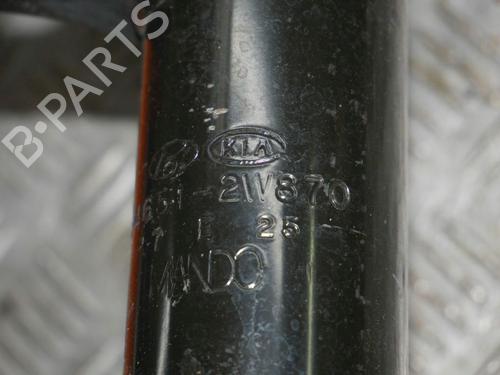 Left front shock absorber HYUNDAI SANTA FÉ III (DM, DMA) 2.2 CRDi 4WD | BP30669872M16 