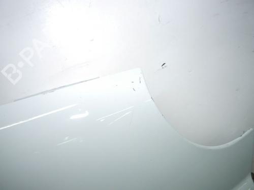 Right front fenders NISSAN PRIMASTAR Van (X83) 2.0 dCi 90 | BP24383364C42 