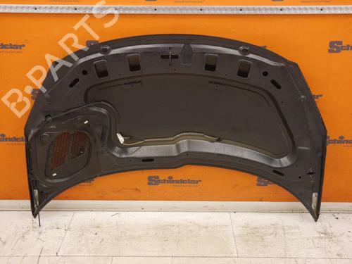 Hood PEUGEOT 206+ (2L_, 2M_) 1.4 i (2LKFWA, 2MKFWA) | BP27543721C1