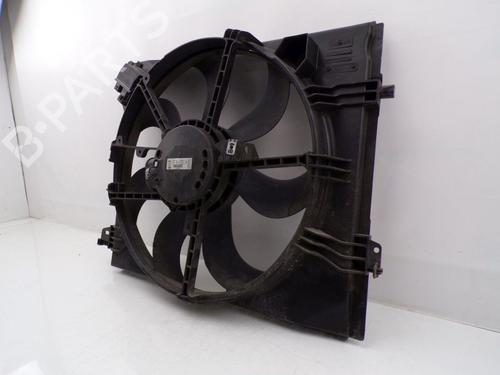 Fan RENAULT GRAND SCÉNIC III (JZ0/1_) 1.5 dCi (JZ09, JZ0D, JZ10, JZ14, JZ1G, JZ29, JZ2C) | BP29644787M128 