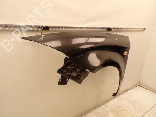 Left front fenders SEAT TOLEDO III (5P2) 1.9 TDI | BP29380680C41 