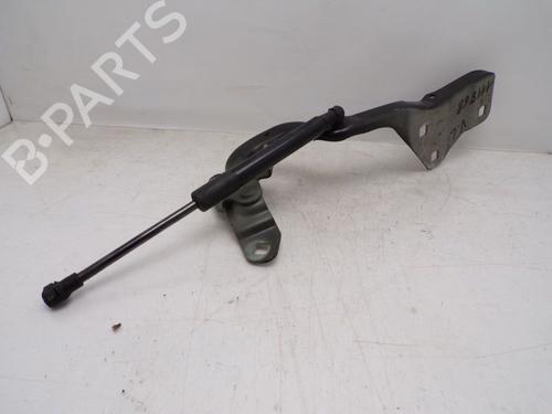 Hinge/Door check strap RENAULT GRAND SCÉNIC III (JZ0/1_) 1.5 dCi (JZ09, JZ0D, JZ10, JZ14, JZ1G, JZ29, JZ2C) | BP29515082C146 