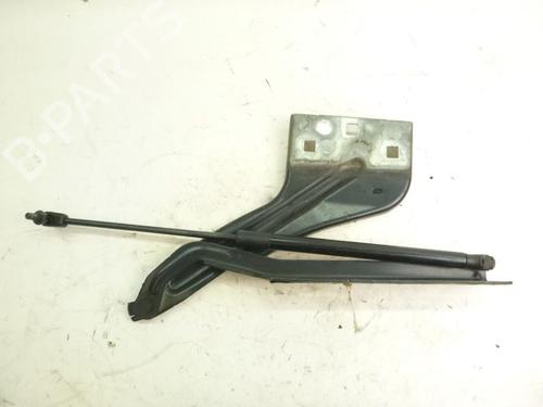 Used Hinge/Door check strap JAGUAR F-PACE (X761) 3.0 SCV6 AWD (380 hp) 33144754