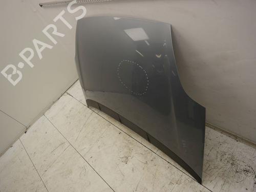 Hood FIAT GRANDE PUNTO (199_) 1.2 | BP30916780C1