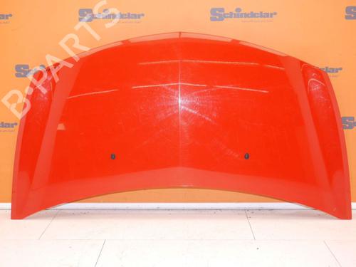 Hood RENAULT CLIO III (BR0/1, CR0/1) 1.2 16V (BR02, BR0J, BR11, CR02, CR0J, CR11) | BP24390524C1 