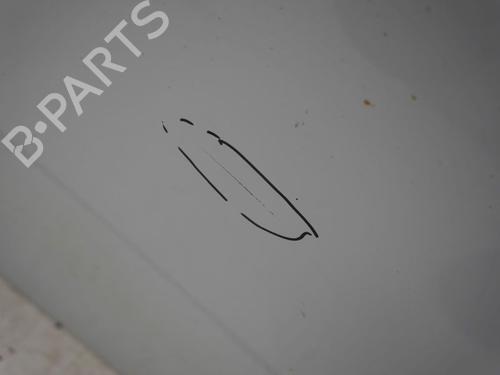 Right slide door RENAULT KANGOO Express (FW0/1_) Z.E. (FW0Z, FW1Z) | BP29873345C75