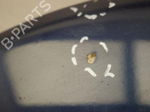 Capot VW NEW BEETLE (9C1, 1C1) 2.0 | BP30796066C1