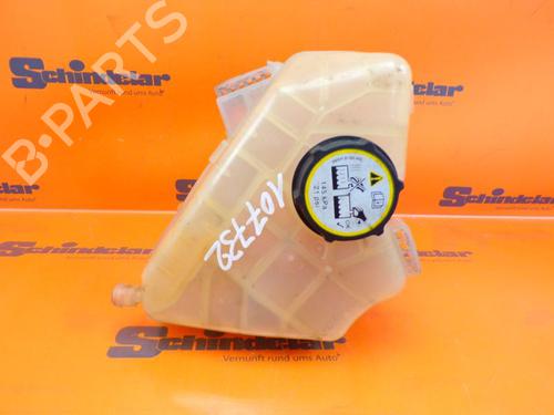 Ekpansionstank FORD FIESTA VI (CB1, CCN) 1.25 (82 hp) 24390612