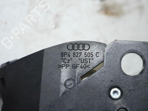 Bakluke lås AUDI A4 B7 Avant (8ED) 2.0 TDI | BP24381506C101 
