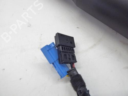 Tailgate lift support BMW 3 Touring (F31) 320 d | BP24388048C138