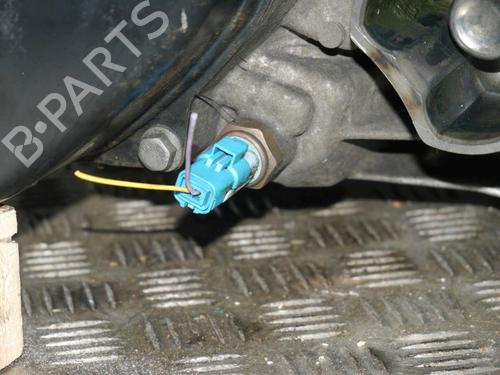 Gearbox RENAULT CLIO III (BR0/1, CR0/1) 1.2 16V (BR0P, CR0P) | BP29644663M3 
