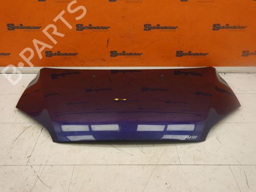 Hood FORD FOCUS II Convertible 2.0 TDCi | BP27666583C1 