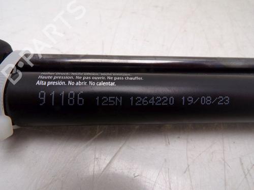 Motorhaubendämpfer VW TOUAREG (7LA, 7L6, 7L7) 3.0 V6 TDI | BP30797445C139