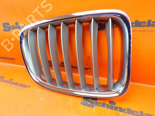 Grille BMW X1 (E84) xDrive 25 d | BP24392770C40