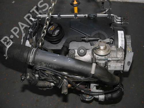 Engine SKODA OCTAVIA II Combi (1Z5) 1.9 TDI | BP31366673M1