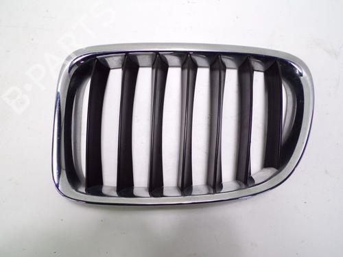 Used Grille BMW X1 (E84) sDrive 16 d (116 hp) 24388994