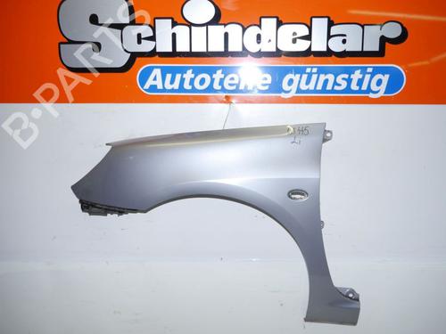 Used Left front fenders PEUGEOT 307 (3A/C) 1.6 16V (109 hp) 24384524