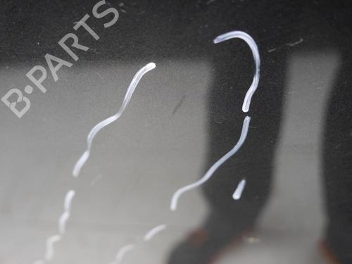 Hood AUDI A3 (8P1) 1.6 | BP29483367C1 