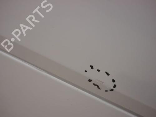 Left front door SMART FORTWO Coupe (451) 1.0 (451.331, 451.380) | BP27551619C2 