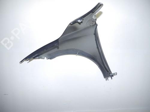Right front fenders RENAULT MEGANE III Coupe (DZ0/1_) 1.4 TCe (DZ0F, DZ1V) | BP24386957C42 