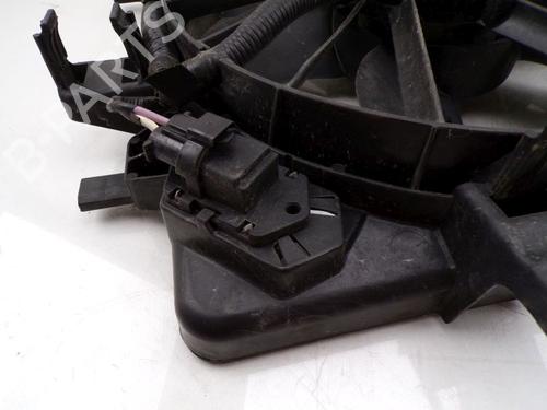Fan RENAULT KANGOO Express (FW0/1_) Z.E. (FW0Z, FW1Z) | BP30185032M128 