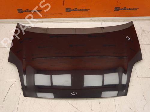 Hood FIAT PUNTO EVO (199_) 1.2 | BP29494945C1 