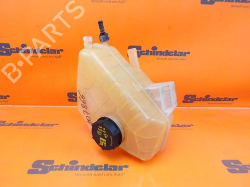 Used Expansion tank FORD ECOSPORT 1.0 EcoBoost (140 hp) 24391000