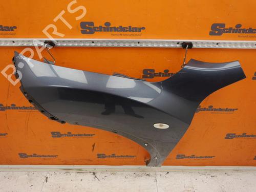 Left front fenders NISSAN JUKE (F15) 1.5 dCi | BP24414919C41