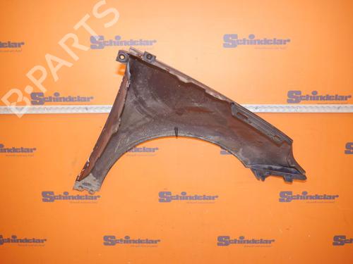 Left front fenders RENAULT SCÉNIC III (JZ0/1_) 1.5 dCi | BP28363531C41 