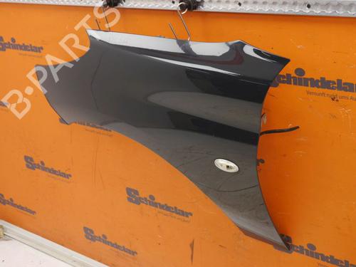 Left front fenders PEUGEOT 206+ (2L_, 2M_) 1.4 i (2LKFWA, 2MKFWA) | BP27551694C41 