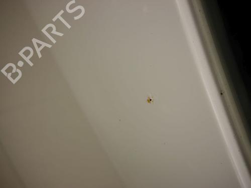 Tailgate KIA RIO III (UB) 1.25 CVVT | BP30642876C6 