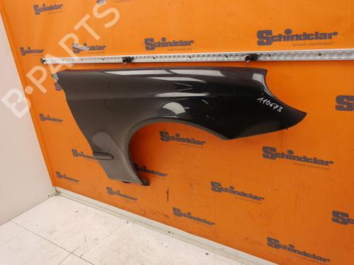 Right front fenders MERCEDES-BENZ E-CLASS (W211) E 200 CDI (211.004) | BP24414460C42 