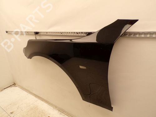 Left front fenders BMW 5 Touring (E61) 520 d | BP29380681C41 