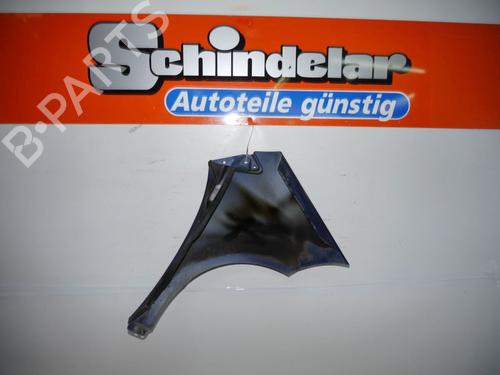 Left front fenders MERCEDES-BENZ A-CLASS (W169) A 170 (169.032, 169.332) | BP24383990C41 