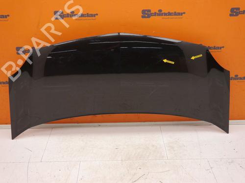 Used Hood RENAULT KANGOO / GRAND KANGOO II (KW0/1_) 1.6 16V (KW03, KW09, KW0D, KW0U, KW0W, KW13) (106 hp) 24411705
