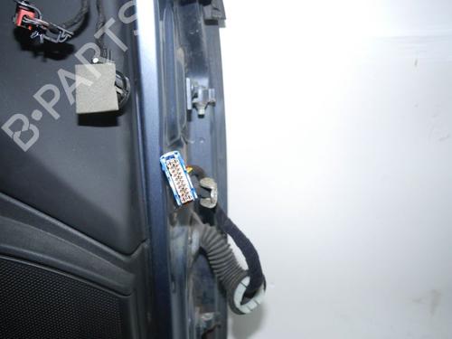 Left front door FIAT BRAVO II (198_) 1.9 D Multijet (198AXC1B) | BP24383421C2 