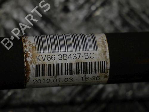 Left front driveshaft FORD TRANSIT CONNECT V408 Box Body/MPV 1.5 EcoBlue | BP32649667M38 