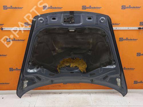 Hood VW TOUAREG (7LA, 7L6, 7L7) 3.2 V6 | BP24414654C1 