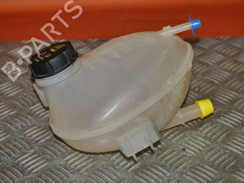 Used Expansion tank FORD ECOSPORT 1.0 EcoBoost (125 hp) 24392208