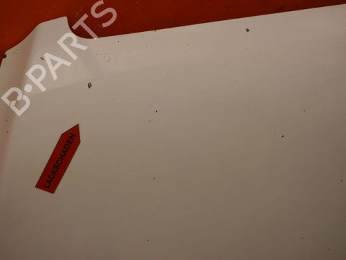 Hood MERCEDES-BENZ SPRINTER 3-t Van (B906) 213 CDI (906.611, 906.613) | BP28363583C1 