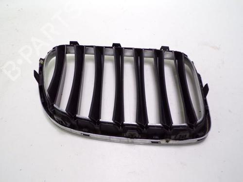 Grill BMW X1 (E84) sDrive 16 d | BP33145353C40 - Image 4