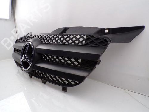 Grille MERCEDES-BENZ SPRINTER 3-t Bus (B906) 213 CDI (906.711, 906.713) | BP29873296C40