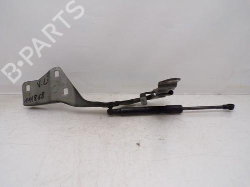 Hinge/Door check strap RENAULT GRAND SCÉNIC III (JZ0/1_) 1.5 dCi (JZ09, JZ0D, JZ10, JZ14, JZ1G, JZ29, JZ2C) | BP29515082C146 