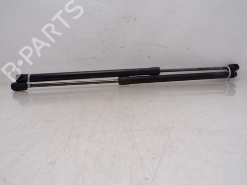 Motorhaubendämpfer VW TOUAREG (7LA, 7L6, 7L7) 3.0 V6 TDI | BP30797445C139