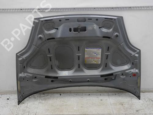 Hood FIAT GRANDE PUNTO (199_) 1.2 | BP30916780C1