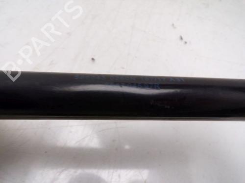 Hinge/Door check strap RENAULT GRAND SCÉNIC III (JZ0/1_) 1.5 dCi (JZ09, JZ0D, JZ10, JZ14, JZ1G, JZ29, JZ2C) | BP29515081C146 