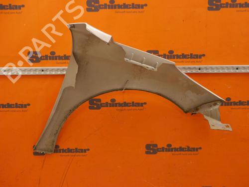 Left front fenders PEUGEOT 207 (WA_, WC_) 1.4 HDi | BP24415070C41 