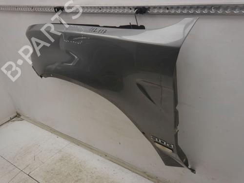 Guarda-lamas esquerdo BMW X5 (E53) 3.0 d | BP31803220C41 