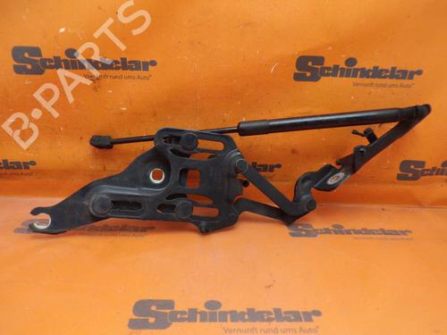 Hinge/Door check strap BMW X5 (E70) 3.0 sd | BP27437749C146 